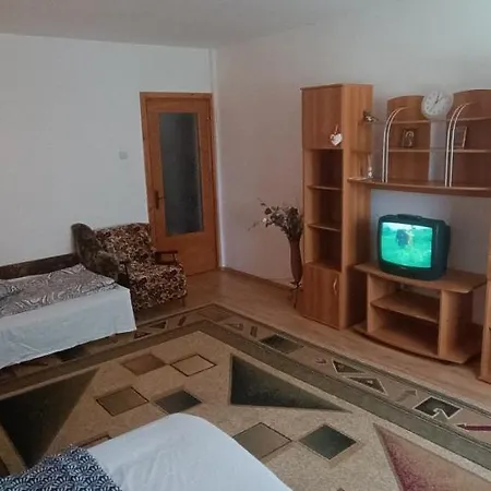 Garsoniera Dana 45m2 Apartment