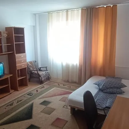 Garsoniera Dana 45m2 Apartment Mangalia