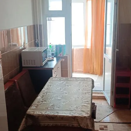 Garsoniera Dana 45m2 Apartment