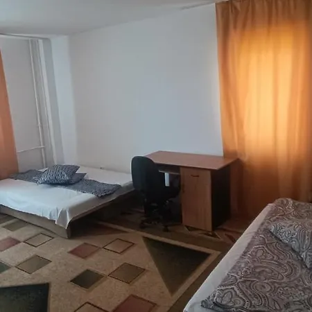 Garsoniera Dana 45m2 Apartment *