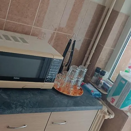 Garsoniera Dana 45m2 Apartment Mangalia