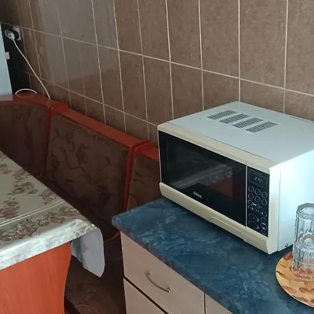 Garsoniera Dana 45m2 Apartment *